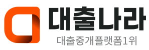 대출나라 로고 이미지